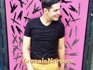 GonzaloNarvaes