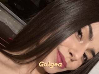 Galgea