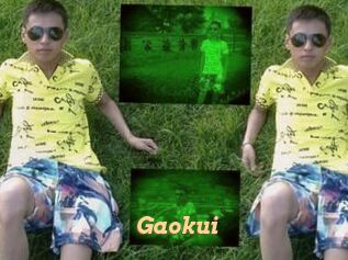 Gaokui