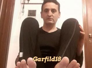 Garfild18