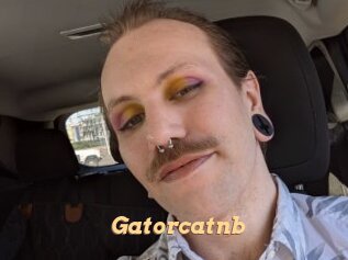 Gatorcatnb
