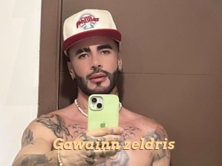 Gawainn_zeldris