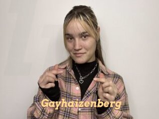 Gayhaizenberg