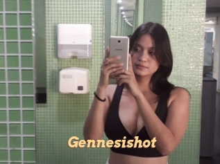 Gennesishot