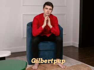 Gilbertpup