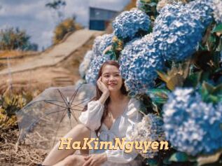 HaKimNguyen