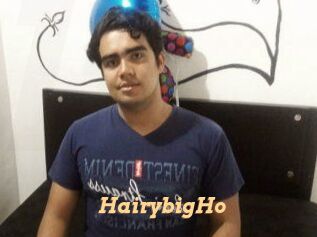HairybigHo