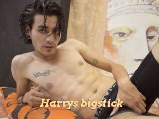 Harrys_bigstick