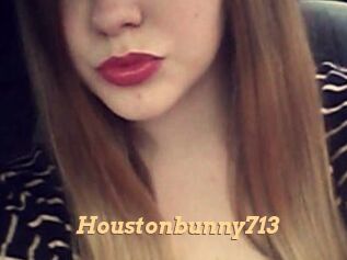 Houstonbunny713