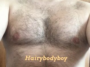 Hairybodyboy