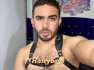Hairyboyx