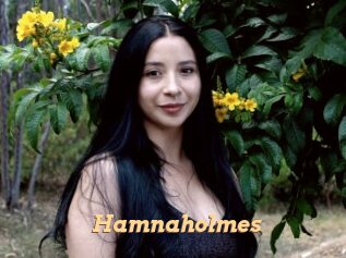 Hamnaholmes