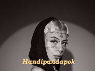 Handipandapok