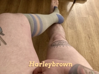 Harleybrown