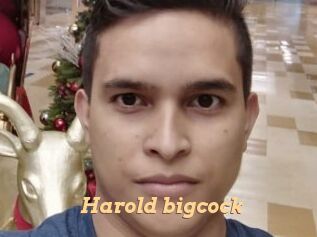 Harold_bigcock