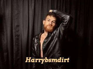 Harrybsmdirt