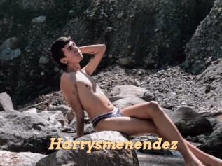 Harrysmenendez
