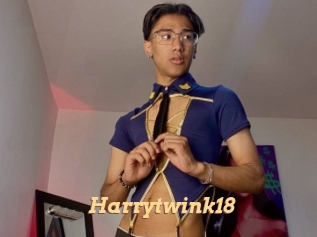harrytwink18 Live Paradise