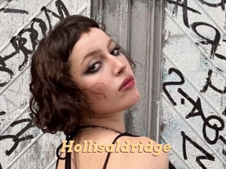 Hollisaldridge