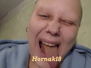 Hornak18