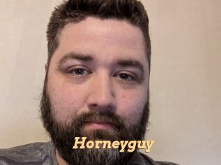 Horneyguy
