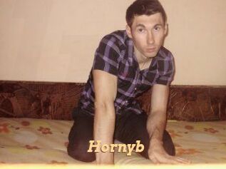 Hornyb