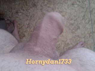 Hornydan1733
