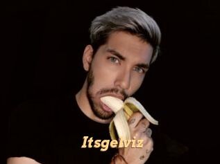 Itsgelviz