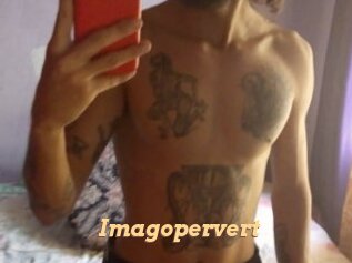 Imagopervert