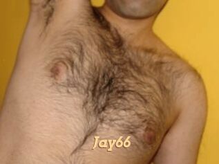 Jay66 Live Paradise