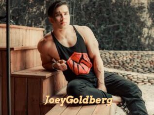 JoeyGoldberg