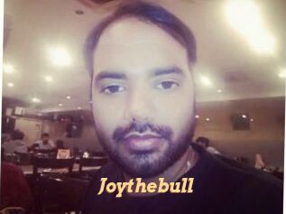 Joythebull Live Paradise