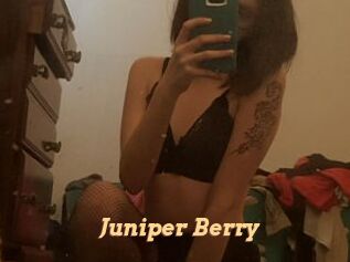 Juniper_Berry