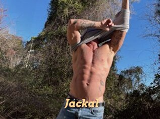 Jackal