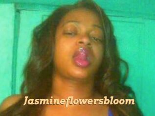 Jasmineflowersbloom