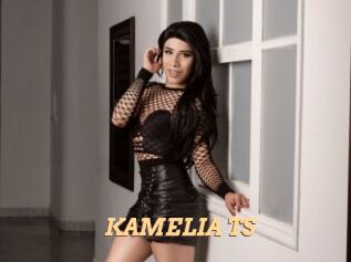 KAMELIA_TS