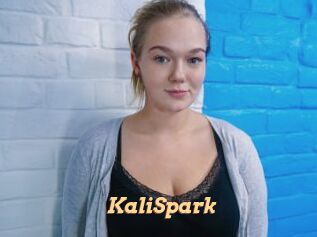 KaliSpark
