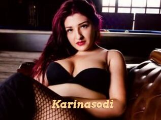 Karinasodi
