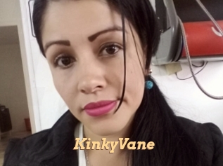 KinkyVane Live Paradise