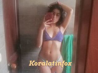 Koralatinfox