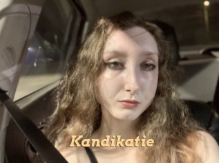Kandikatie