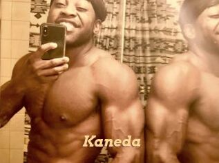 kaneda Live Paradise