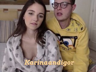 Karinaandigor