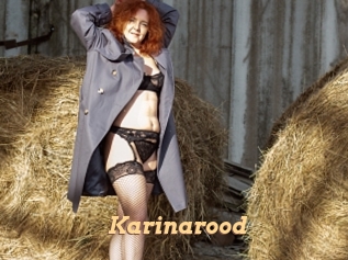 Karinarood