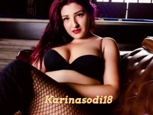Karinasodi18