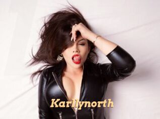 Karllynorth