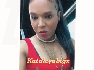 Kataleyabigx
