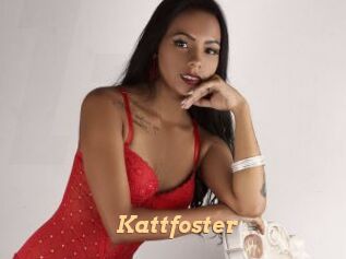 Kattfoster