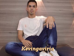 Kevingaviria