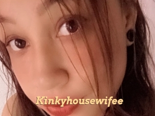 Kinkyhousewifee